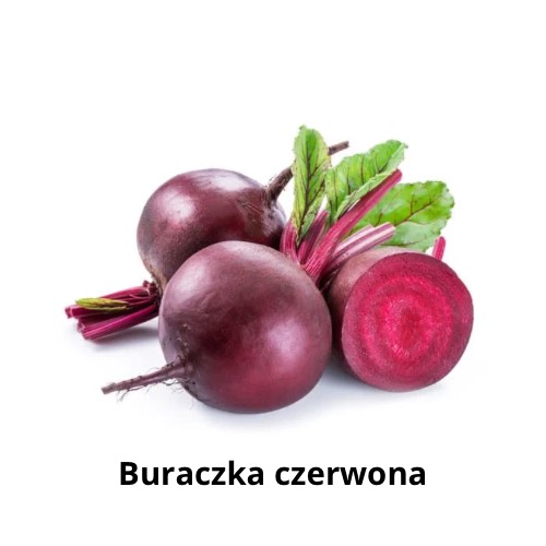 Buraczka czerwona.