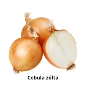 Cebula żółta.