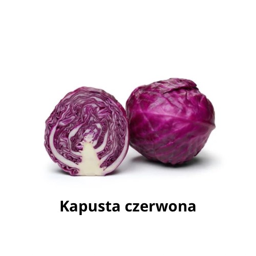Kapusta czerwona.