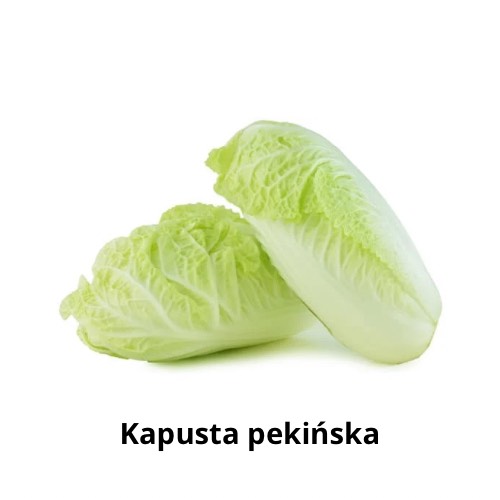 Kapusta pekińska.