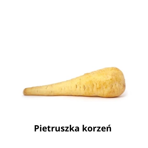 Pietruszka korzeń.